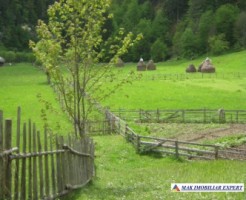 teren-2800-mp-intravilan-dambovicioara-8