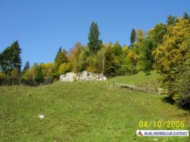 teren-intravilan-6000-mp-de-vanzare-in-podul-dambovitei-valea-cheii-dambovicioara-arges-ideal-pentru-proiecte-turistice-si-rezidentiale
