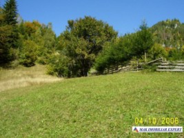 teren-intravilan-6000-mp-de-vanzare-in-podul-dambovitei-valea-cheii-dambovicioara-arges-ideal-pentru-proiecte-turistice-si-rezidentiale-1