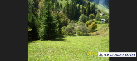 teren-intravilan-6000-mp-de-vanzare-in-podul-dambovitei-valea-cheii-dambovicioara-arges-ideal-pentru-proiecte-turistice-si-rezidentiale-4
