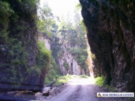teren-intravilan-6000-mp-de-vanzare-in-podul-dambovitei-valea-cheii-dambovicioara-arges-ideal-pentru-proiecte-turistice-si-rezidentiale-5