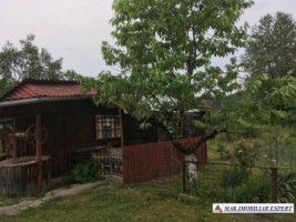 vila-5-camere-cu-teren-15000-mp-in-vladesti-arges-proprietate-unica-pentru-familie-si-investitie-2