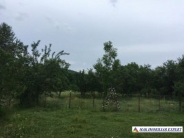 vila-5-camere-cu-teren-15000-mp-in-vladesti-arges-proprietate-unica-pentru-familie-si-investitie-5