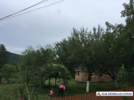 vila-5-camere-cu-teren-15000-mp-in-vladesti-arges-proprietate-unica-pentru-familie-si-investitie-4