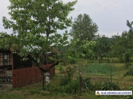 vila-5-camere-cu-teren-15000-mp-in-vladesti-arges-proprietate-unica-pentru-familie-si-investitie-6