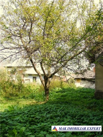 teren-435-mp-intravilan-rucar-3