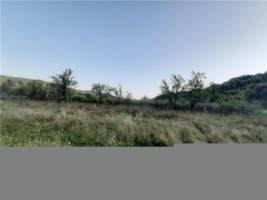 teren-agricol-5000-mp-de-vanzare-in-hartiesti-arges-ideal-pentru-proiecte-agricole