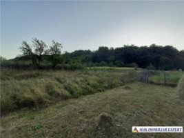 teren-agricol-5000-mp-de-vanzare-in-hartiesti-arges-ideal-pentru-proiecte-agricole-2