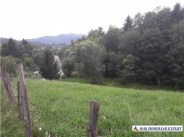 teren-intravilan-5000-mp-de-vanzare-in-bughea-de-jos-ideal-pentru-dezvoltari-rezidentiale-1