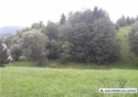 teren-intravilan-5000-mp-de-vanzare-in-bughea-de-jos-ideal-pentru-dezvoltari-rezidentiale