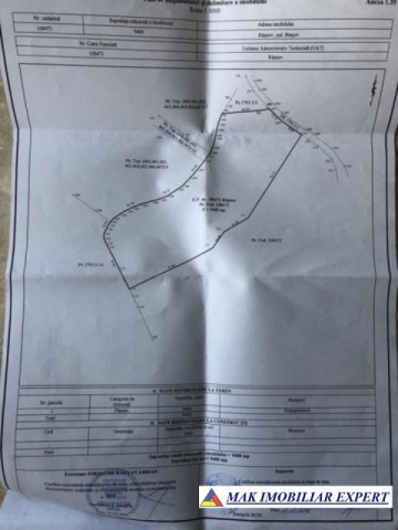 teren-intravilan-1-ha-rasnov-brasov-oportunitate-de-investitie