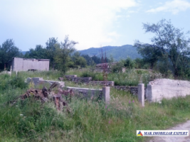 teren-713-mp-5000-mp-cu-constructie-intravilan-de-vanzare-in-nucsoara-arges-ideal-pentru-constructii-rezidentiale-si-agricultura-1