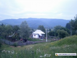 teren-713-mp-5000-mp-cu-constructie-intravilan-de-vanzare-in-nucsoara-arges-ideal-pentru-constructii-rezidentiale-si-agricultura-2