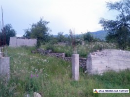 teren-713-mp-5000-mp-cu-constructie-intravilan-de-vanzare-in-nucsoara-arges-ideal-pentru-constructii-rezidentiale-si-agricultura-3