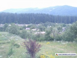 teren-713-mp-5000-mp-cu-constructie-intravilan-de-vanzare-in-nucsoara-arges-ideal-pentru-constructii-rezidentiale-si-agricultura-4