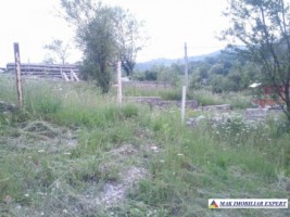 teren-713-mp-5000-mp-cu-constructie-intravilan-de-vanzare-in-nucsoara-arges-ideal-pentru-constructii-rezidentiale-si-agricultura-5