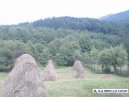 teren-713-mp-5000-mp-cu-constructie-intravilan-de-vanzare-in-nucsoara-arges-ideal-pentru-constructii-rezidentiale-si-agricultura-6