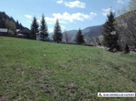 teren-intravilan-5400-mp-de-vanzare-in-dragoslavele-arges-oportunitate-de-investitie-in-constructii