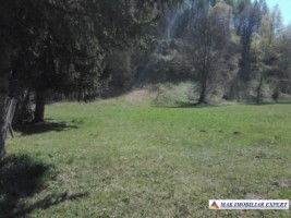 teren-intravilan-5400-mp-de-vanzare-in-dragoslavele-arges-oportunitate-de-investitie-in-constructii-1