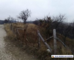 teren-6000-mp-extravilan-matau-8