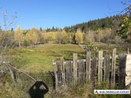 teren-intravilan-2100-mp-de-vanzare-leresti-arges-1
