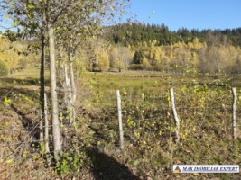 teren-intravilan-2100-mp-de-vanzare-leresti-arges-2