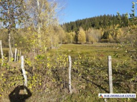 teren-intravilan-2100-mp-de-vanzare-leresti-arges-4