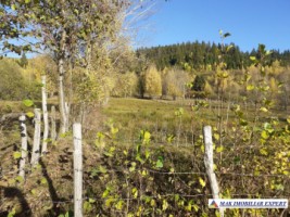 teren-intravilan-2100-mp-de-vanzare-leresti-arges-5