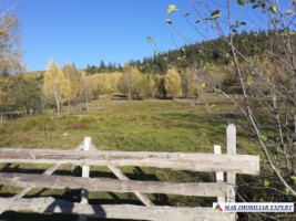 teren-intravilan-2100-mp-de-vanzare-leresti-arges-7