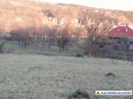 teren-3800-mp-intravilan-boteni-2