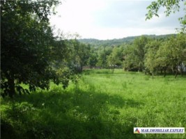 teren-3700-mp-intravilan-mihaesti-draghici