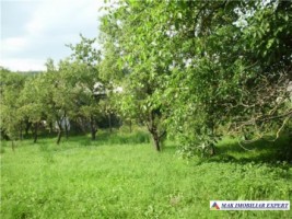 teren-3700-mp-intravilan-mihaesti-draghici-1