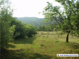teren-3700-mp-intravilan-mihaesti-draghici-2