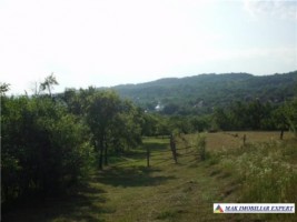 teren-3700-mp-intravilan-mihaesti-draghici-3