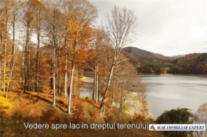 teren-1000-mp-construibil-arefu-baraj-vidraru-2