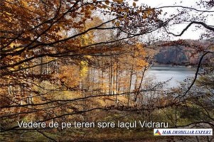 teren-1000-mp-construibil-arefu-baraj-vidraru-4