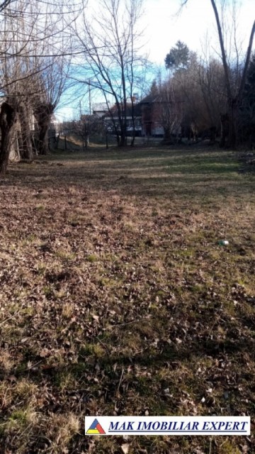 teren-6500-mp-intravilan-bughea-de-jos