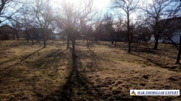 teren-6500-mp-intravilan-bughea-de-jos-3