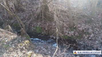 teren-6500-mp-intravilan-bughea-de-jos-5