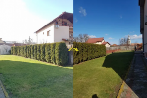 teren-intravilan-de-vanzare-lipoveni