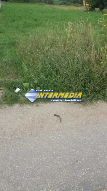 teren-intravilan-de-vanzare-in-limba-1157mp-1