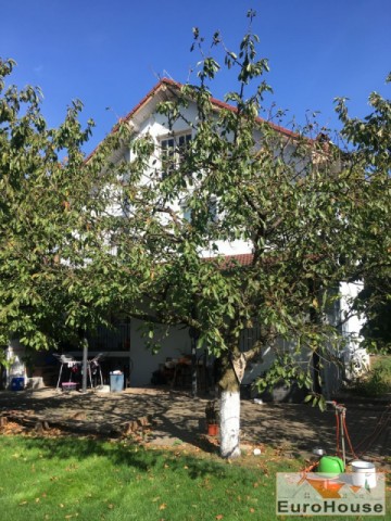 casa-in-alba-iulia-de-vanzare-3