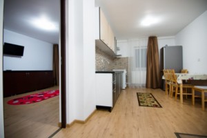 apartament-3-camere-sala-vointa-2