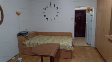 garsoniera-lujerului-7