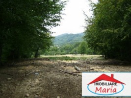 teren-pentru-constructii-de-vanzare-in-satu-mare-negresti-3