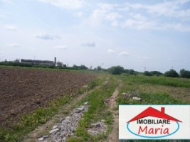 teren-agricol-de-vanzare-in-satu-mare-2