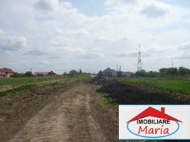 teren-agricol-de-vanzare-in-satu-mare-4