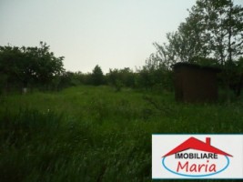 casa-de-vanzare-in-satu-mare-viile-satu-mare-3