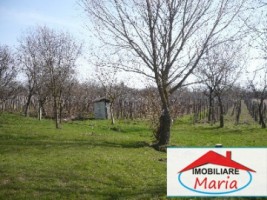 casa-de-vanzare-in-satu-mare-ardud-2