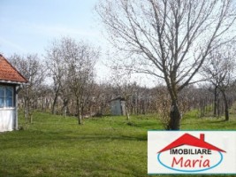casa-de-vanzare-in-satu-mare-ardud-3
